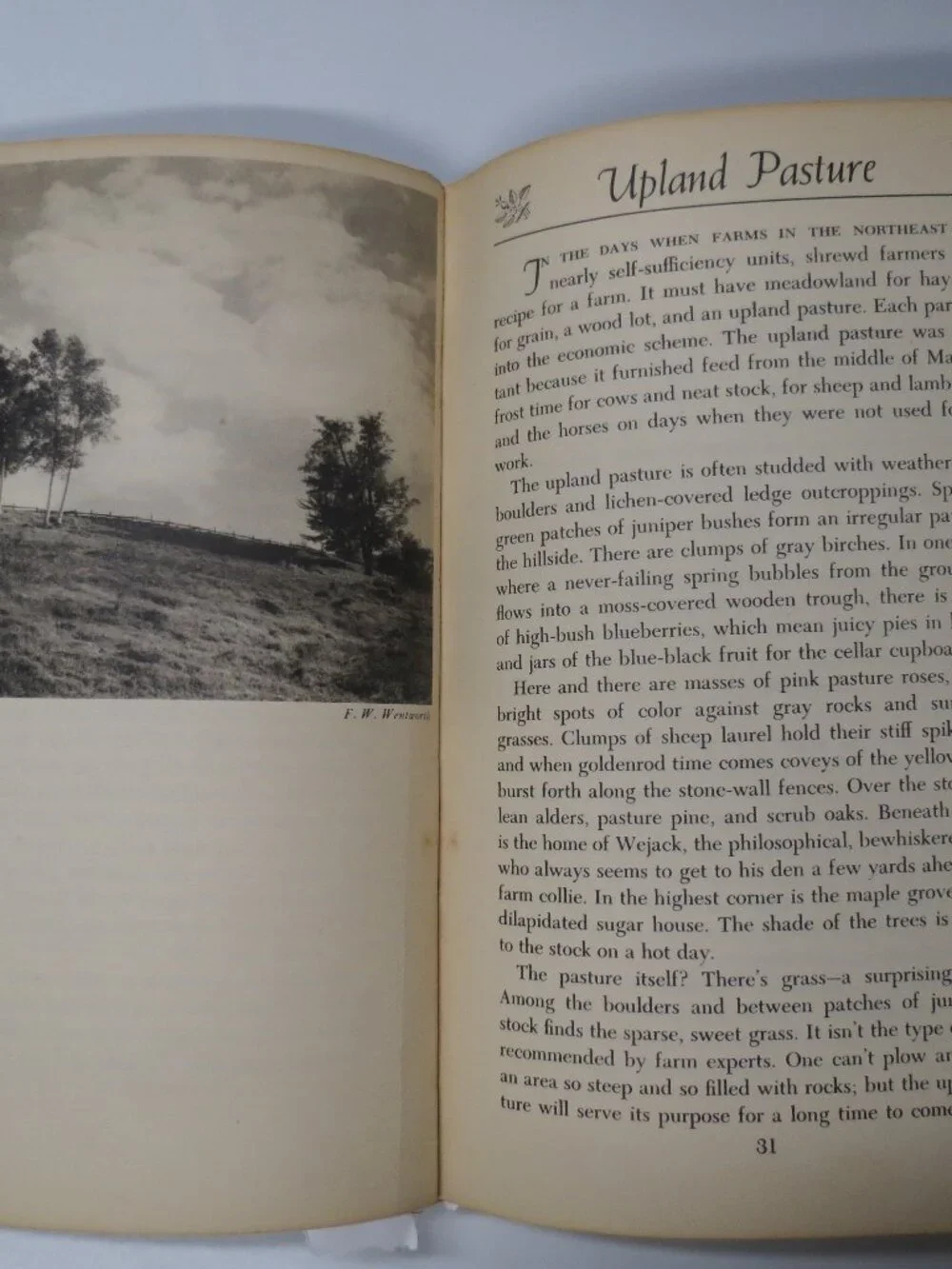 1945 Country Flavor by Haydn Pearson 1st ed 1st printing HC Traditions Rural